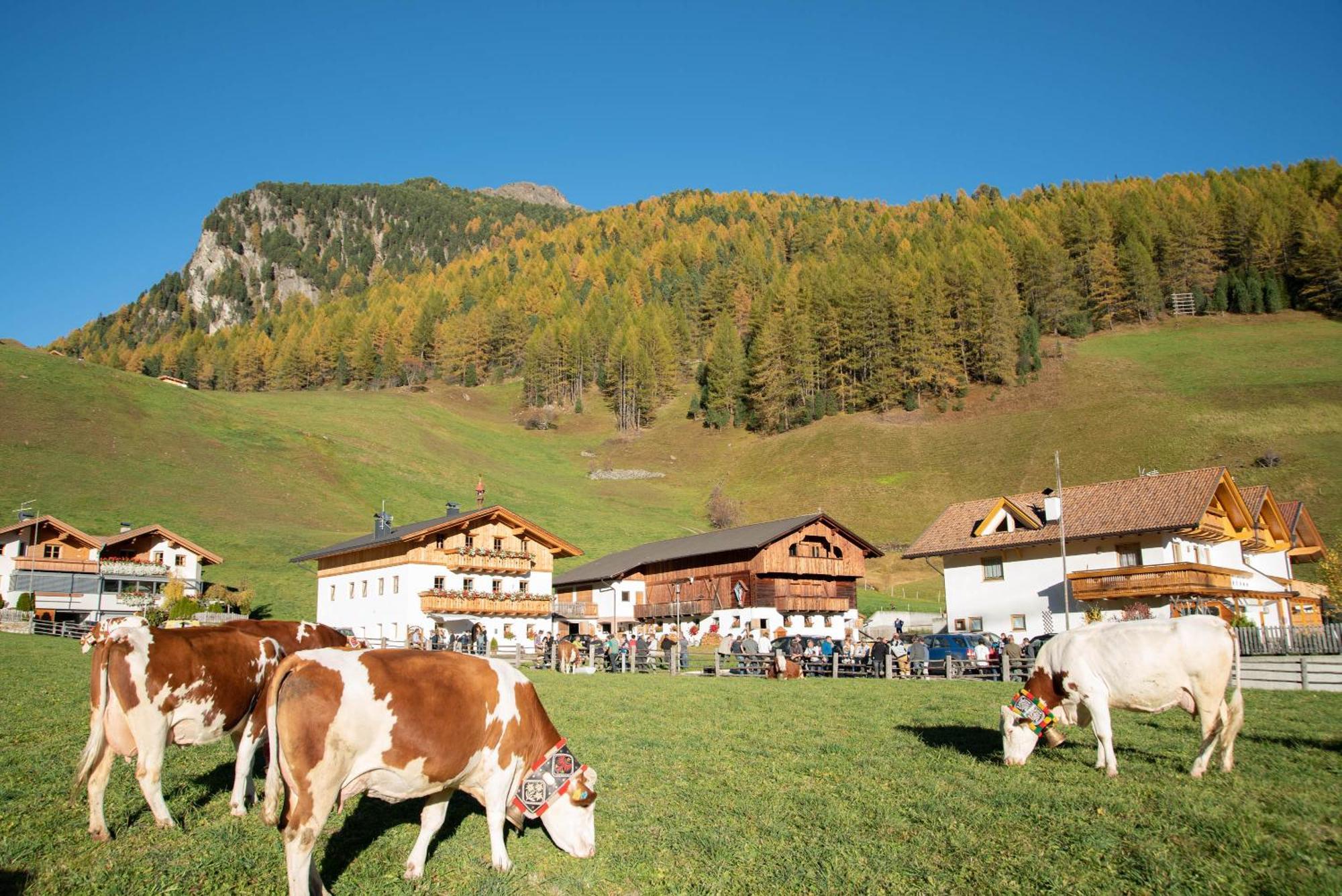 Mooserhof Campo Tures Buitenkant foto